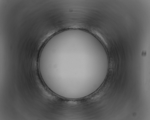 X0000096640394200802051002