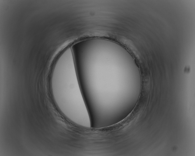 X0000096640395200802051002