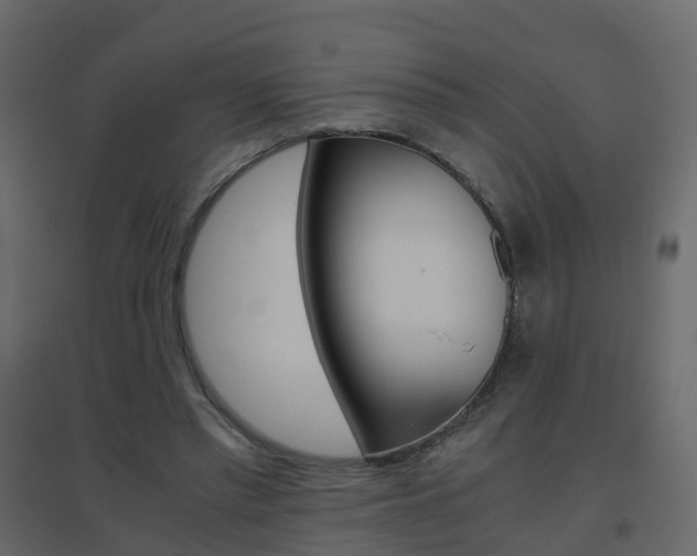 X0000096640397200802051002