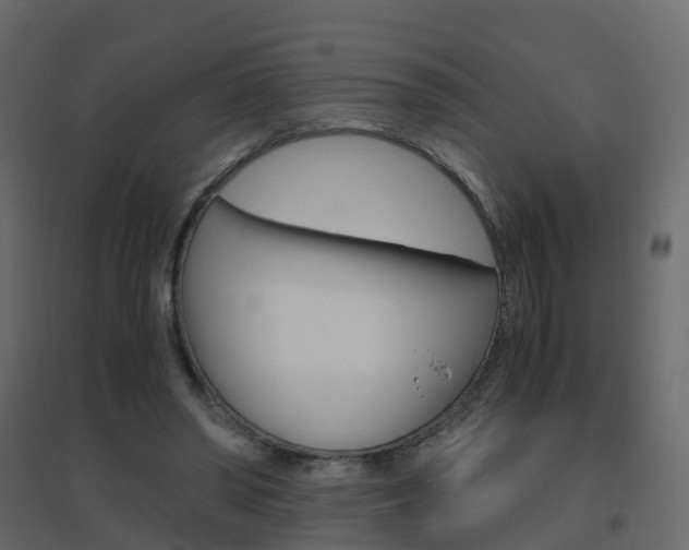 X0000096640398200802051002