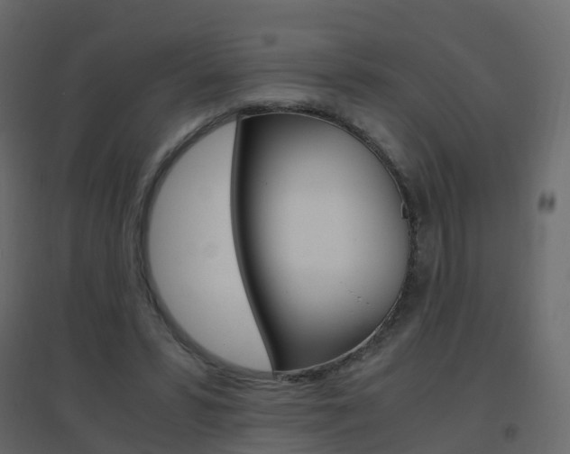 X0000096640399200802051002