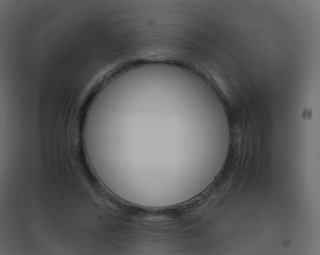 X0000096640400200802051002