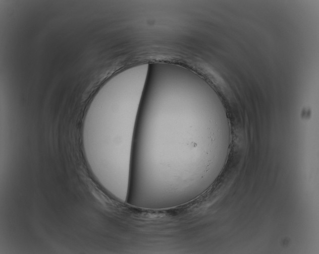 X0000096640401200802051002