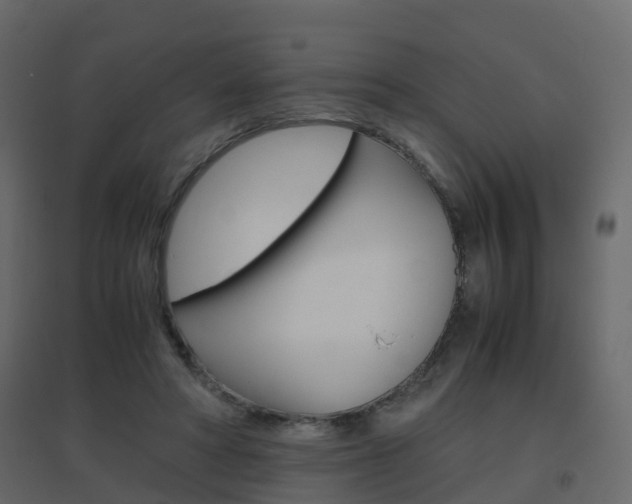 X0000096640402200802051002