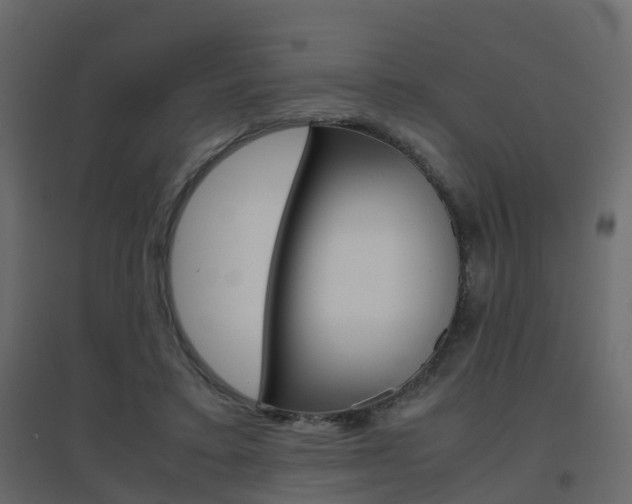 X0000096640403200802051002