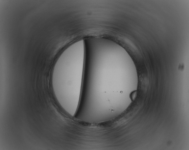 X0000096640404200802051002