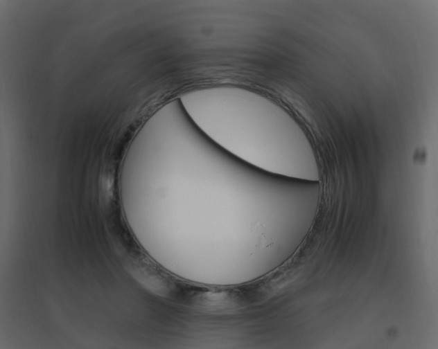 X0000096640406200802051002
