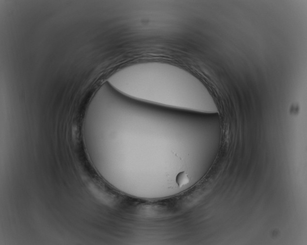 X0000096640408200802051002
