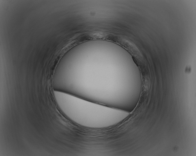 X0000096640409200802051002