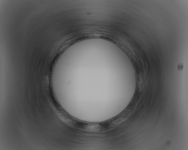 X0000096640410200802051002