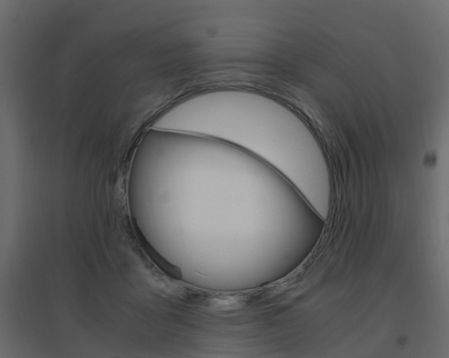 X0000096640411200802051002