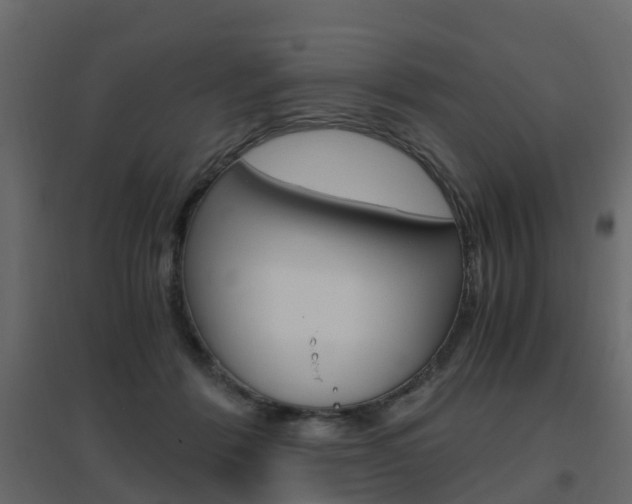 X0000096640412200802051002