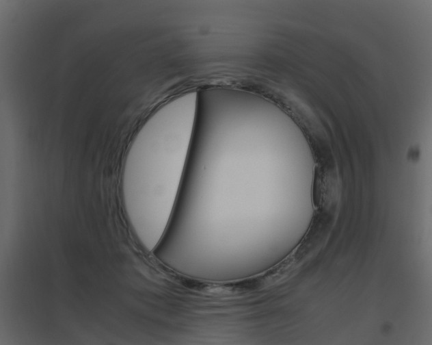 X0000096640413200802051002