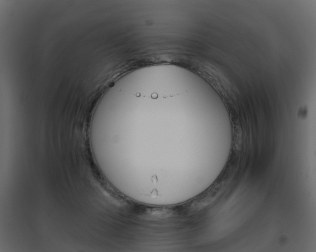 X0000096640414200802051002