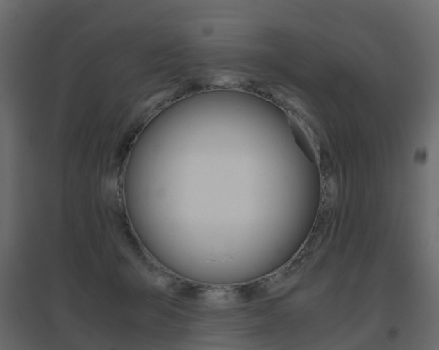 X0000096640415200802051002