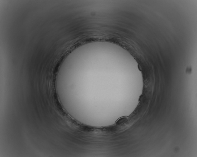 X0000096640416200802051002