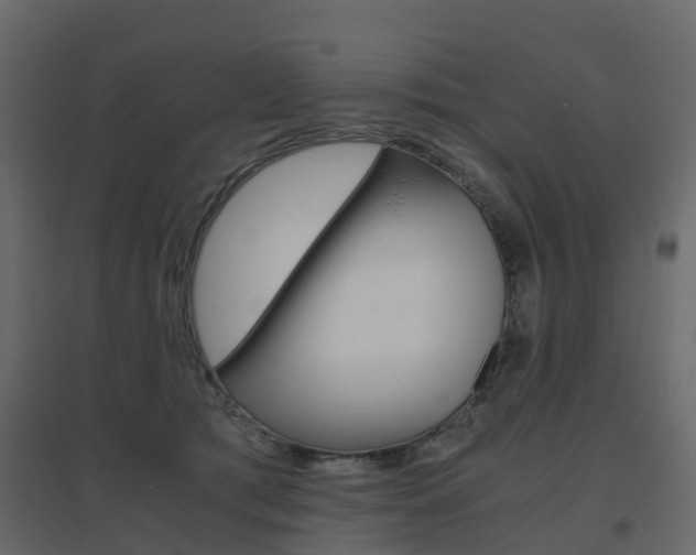 X0000096640417200802051002