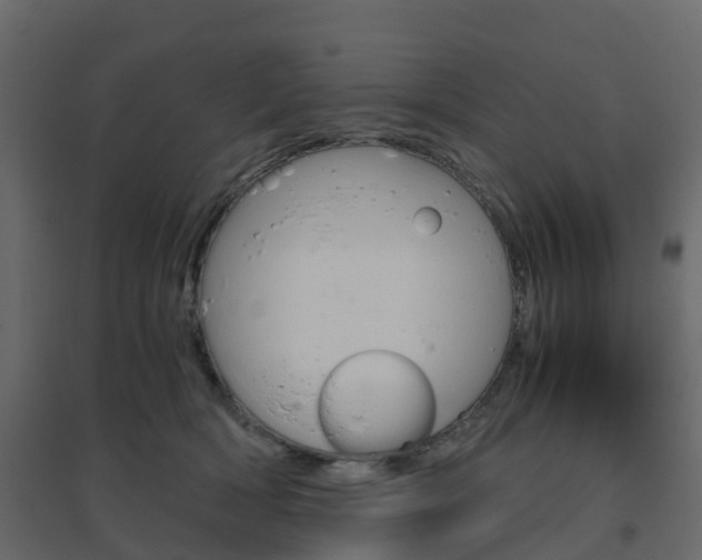 X0000096640418200802051002