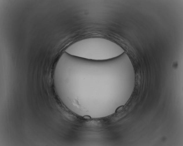 X0000096640422200802051002