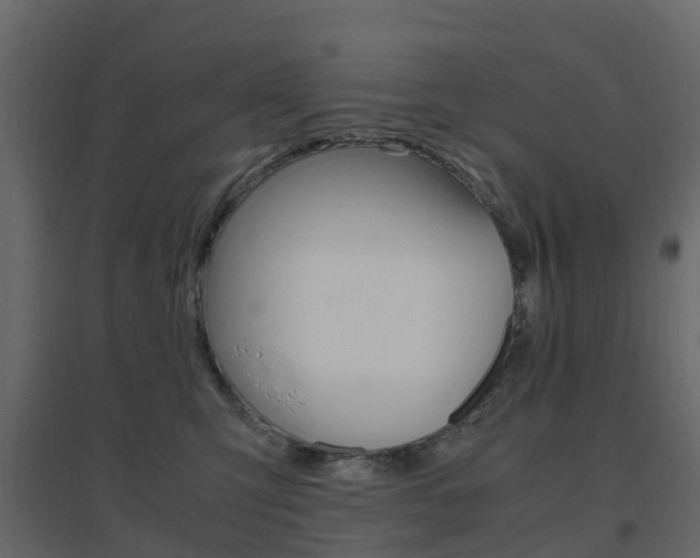 X0000096640423200802051002