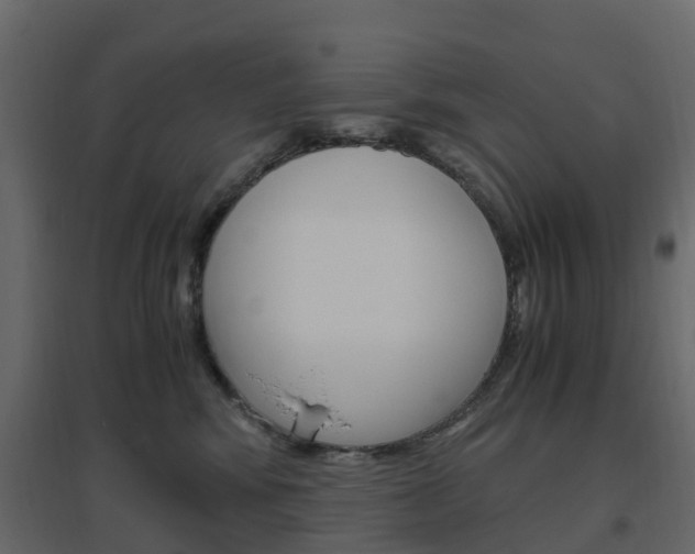 X0000096640424200802051002