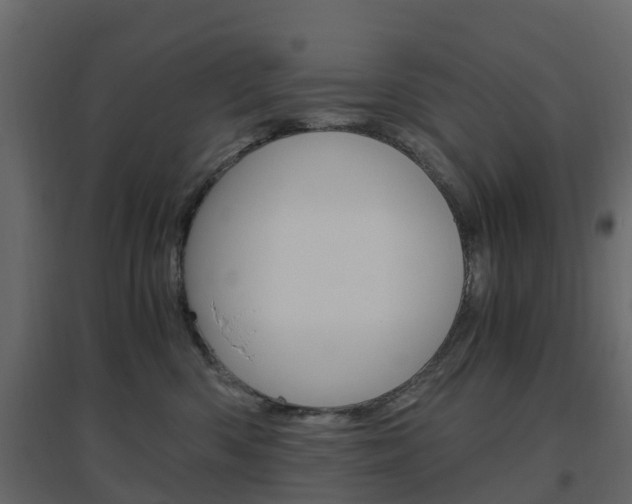 X0000096640426200802051002