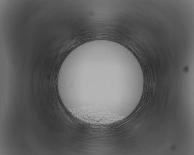 X0000096640427200802051002