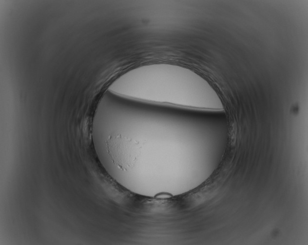 X0000096640428200802051002