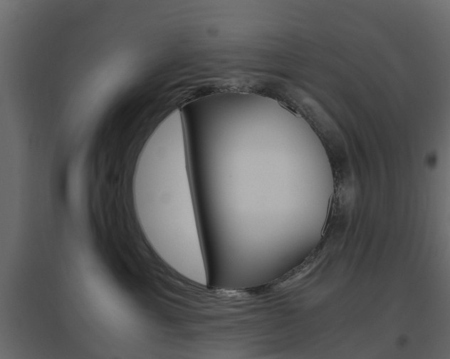 X0000096640429200802051002