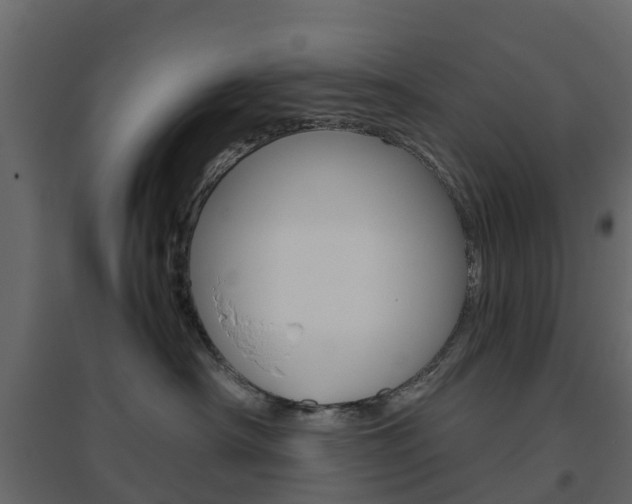 X0000096640430200802051002