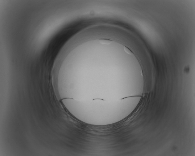 X0000096640431200802051002