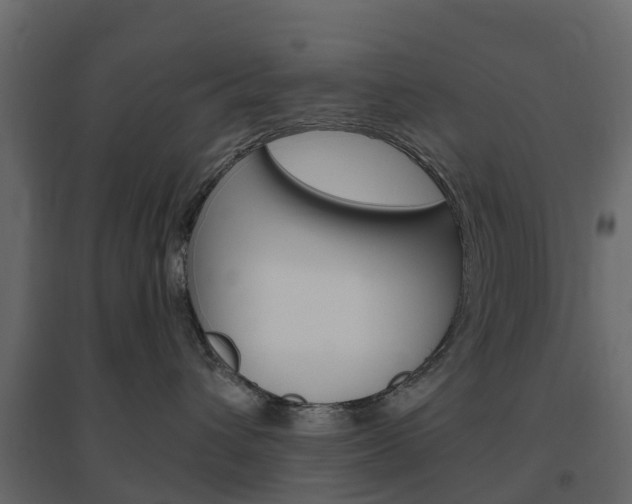 X0000096640432200802051002