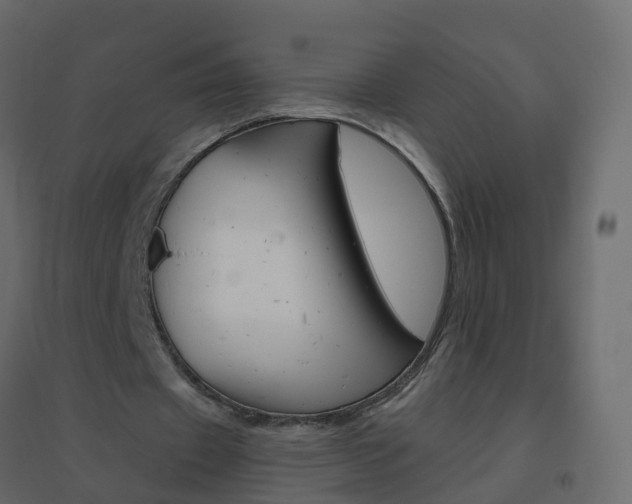 X0000096640433200802051001