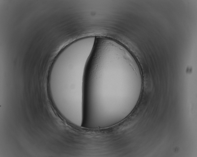 X0000096640434200802051001