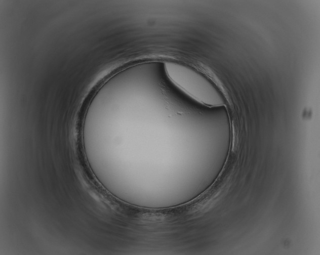 X0000096640435200802051001