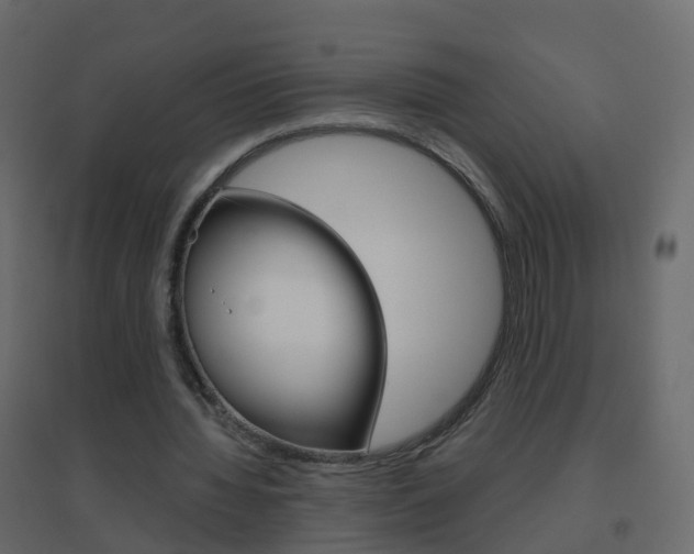 X0000096640436200802051001