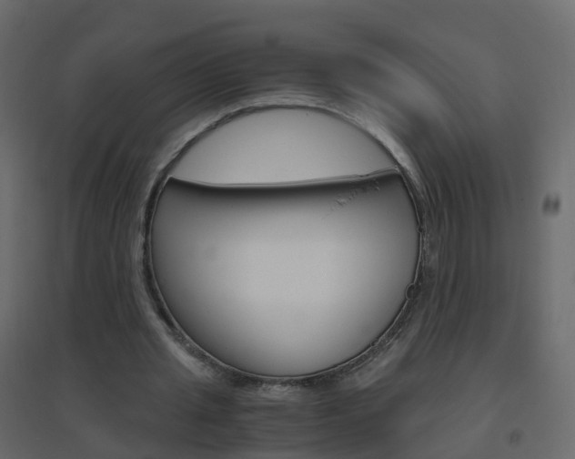 X0000096640437200802051001