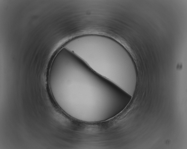 X0000096640438200802051001