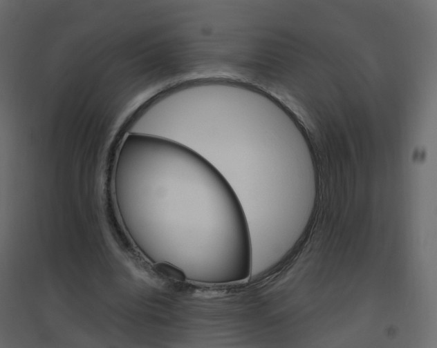 X0000096640440200802051001