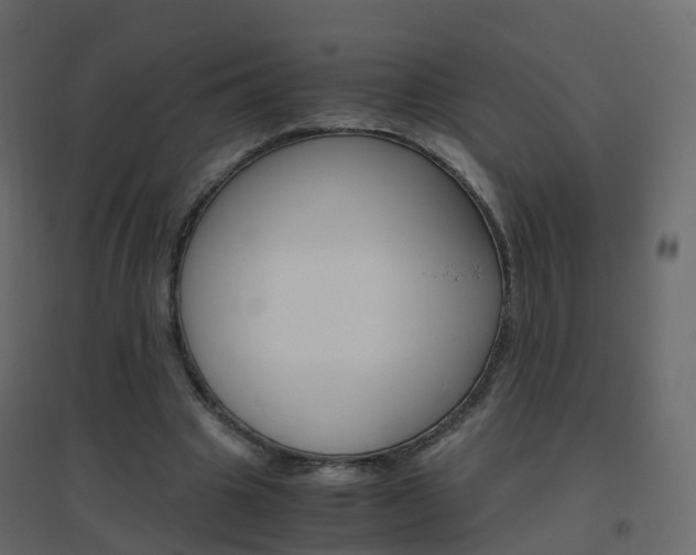 X0000096640441200802051001