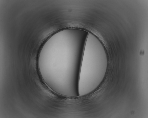 X0000096640442200802051001