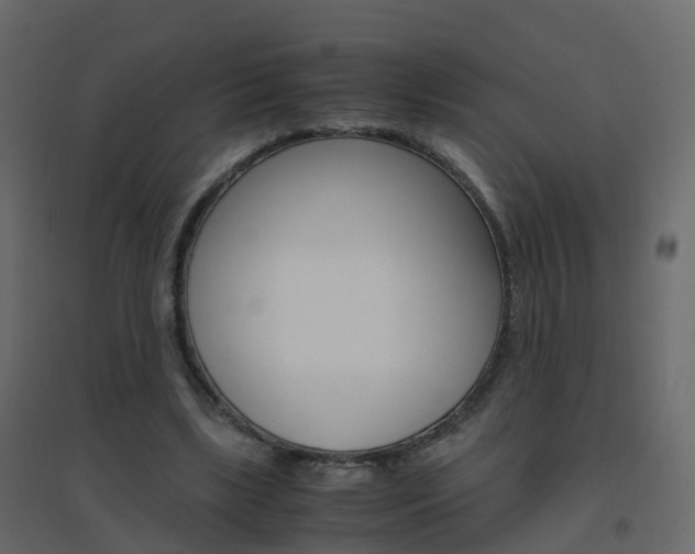 X0000096640443200802051001
