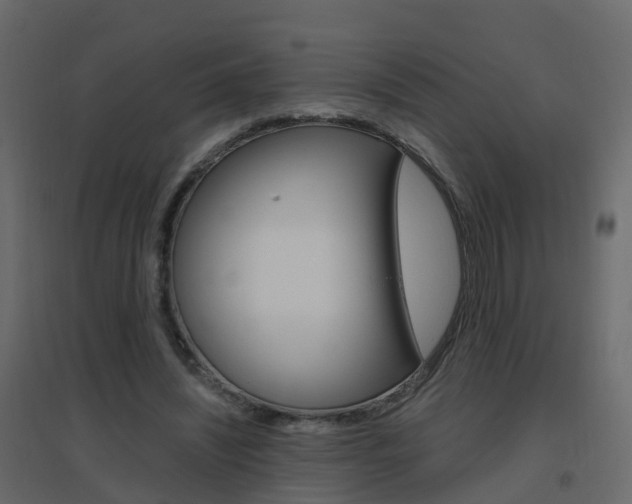 X0000096640444200802051001