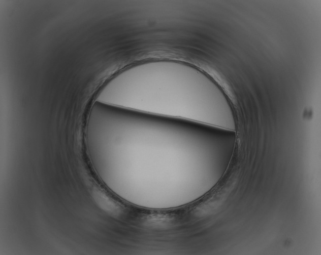 X0000096640445200802051001