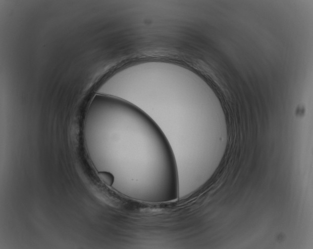 X0000096640448200802051001