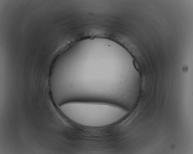 X0000096640449200802051001