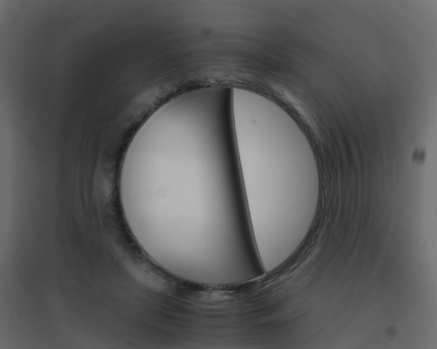 X0000096640451200802051001