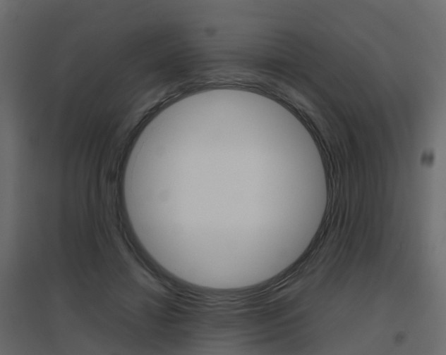 X0000096640452200802051001