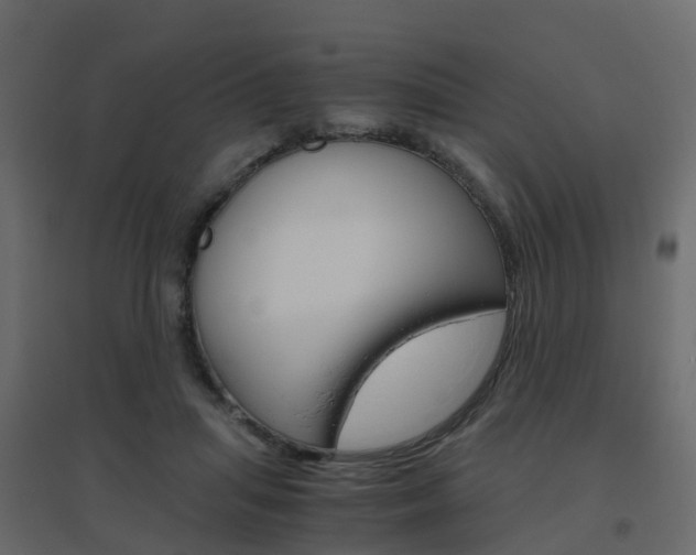 X0000096640455200802051001