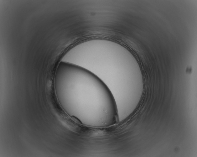 X0000096640456200802051001
